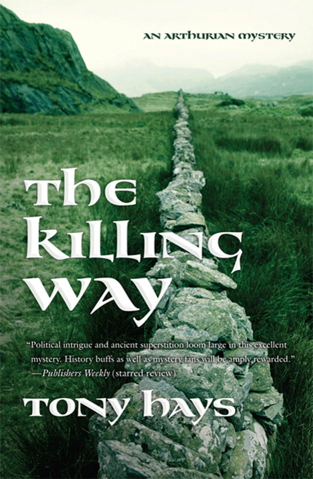 The Killing Way: An Arthurian Mystery book cover by Tony Hays