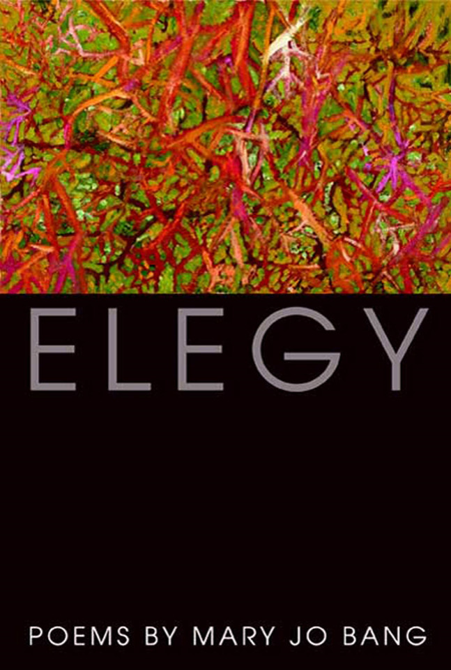 Elegy: Poems book cover by Mary Jo Bang