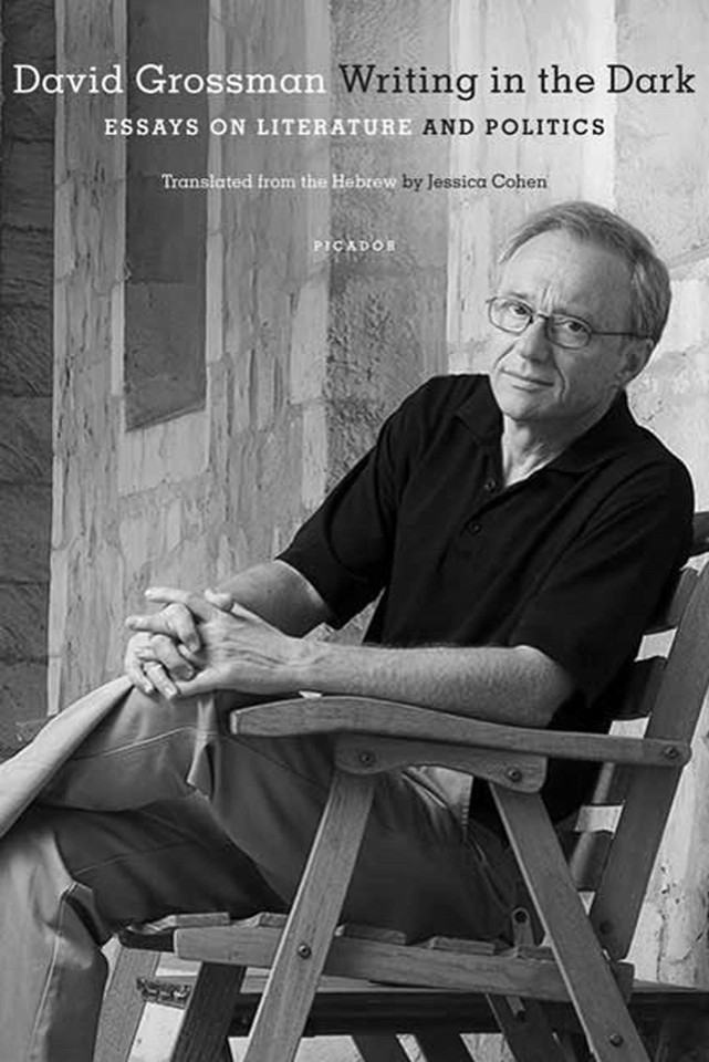 Writing in the Dark: Essays on Literature and Politics book cover by David Grossman