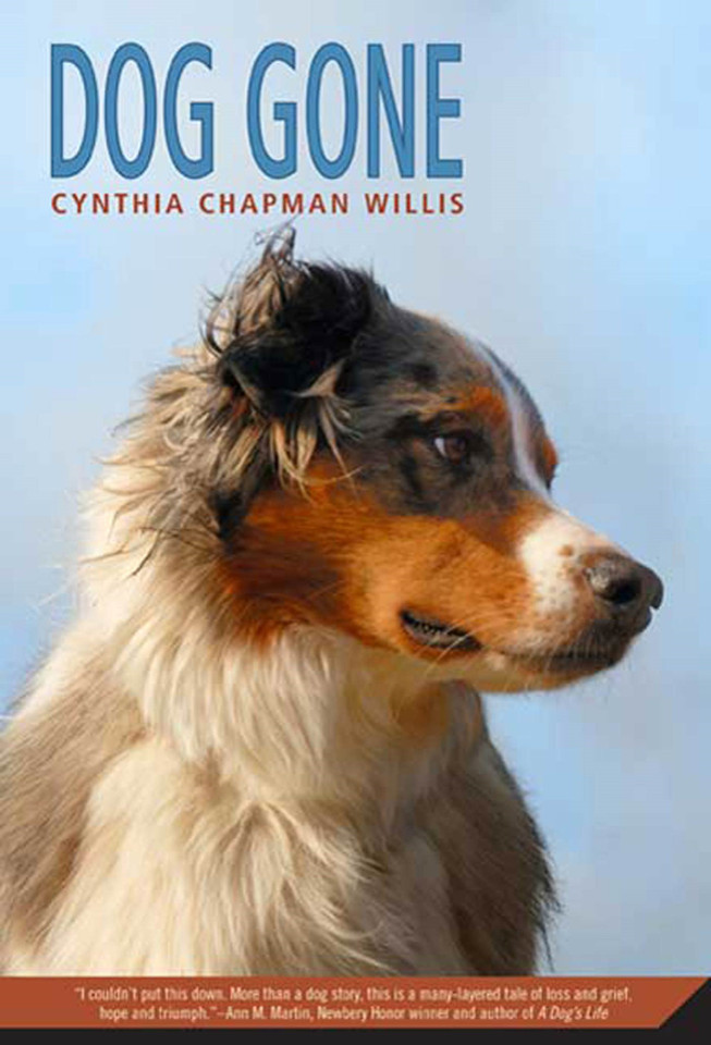 Dog Gone: A Picture Book book cover by Cynthia Chapman Willis