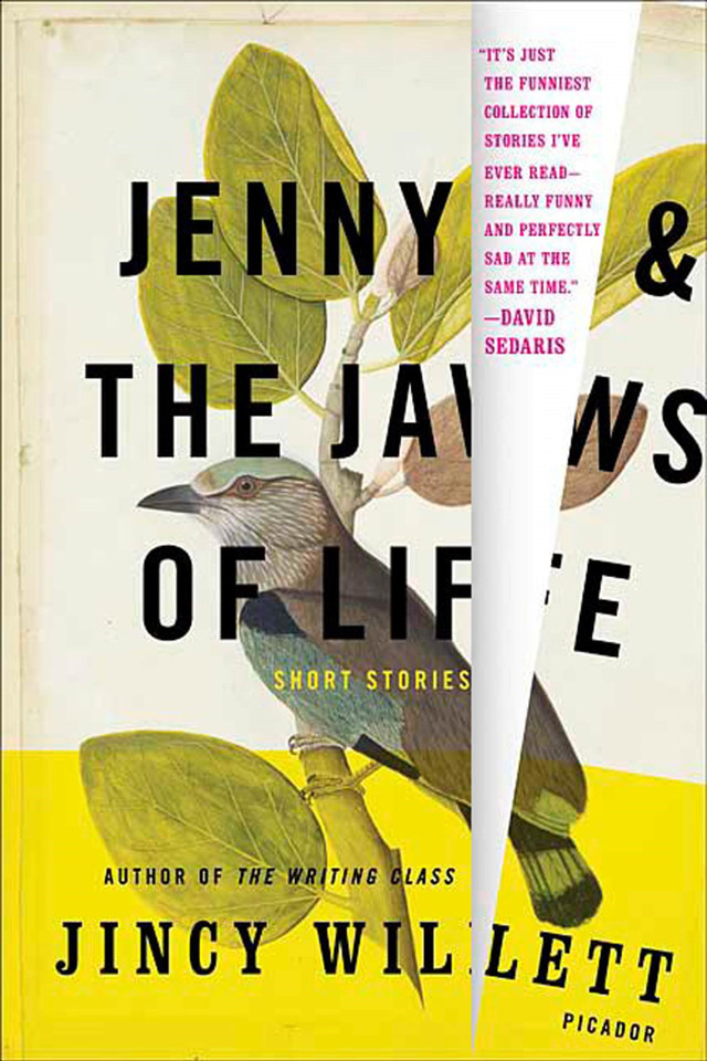 Jenny and the Jaws of Life: Short Stories book cover by Jincy Willett