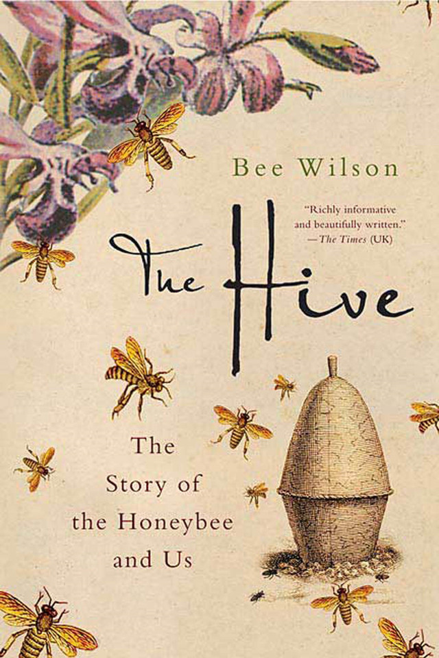 The Hive: The Story of the Honeybee and Us book cover by Bee Wilson