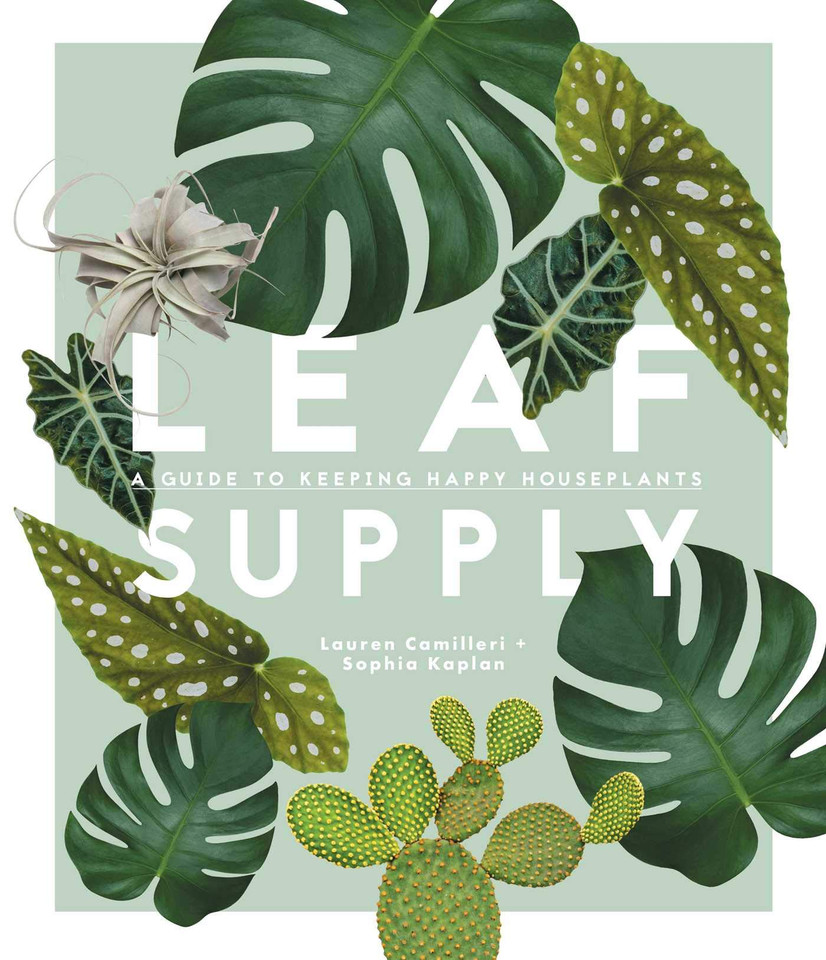 Leaf Supply: A Guide to Keeping Happy House Plants - Cover Leaf Supply: A Guide to Keeping Happy House Plants - Cover