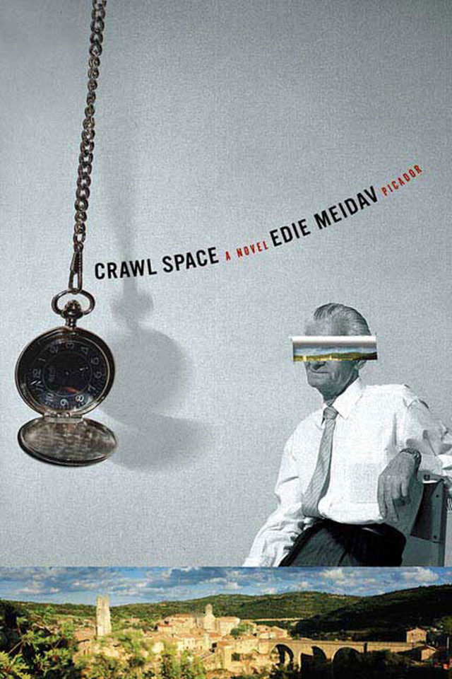 Crawl Space: A Novel book cover by Edie Meidav