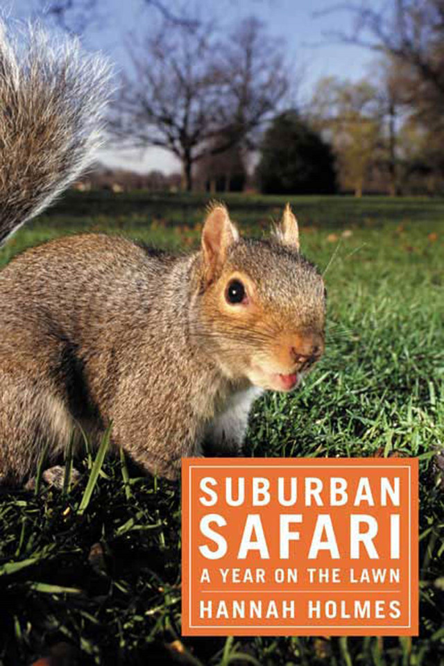 Suburban Safari: A Year on the Lawn book cover by Hannah Holmes