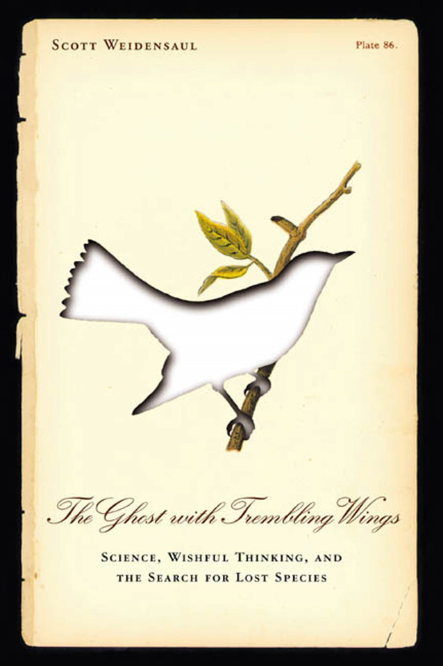 The Ghost with Trembling Wings: Science, Wishful Thinking and the Search for Lost Species book cover by Scott Weidensaul