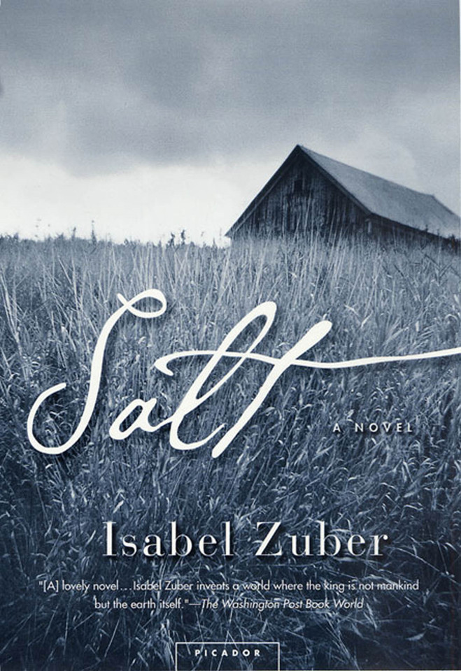 Salt: A Novel book cover by Isabel Zuber