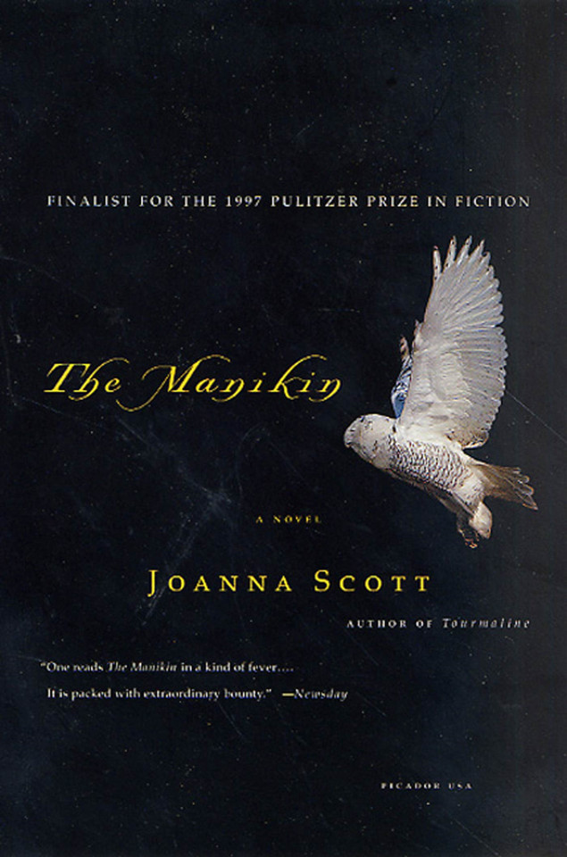 The Manikin: A Novel book cover by Joanna Scott
