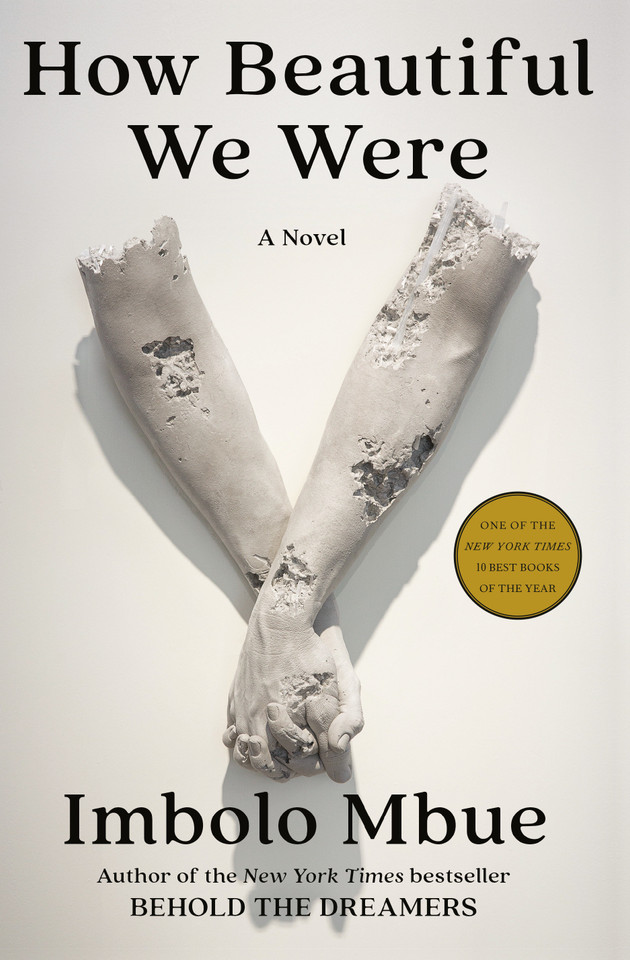 How Beautiful We Were: A Novel book cover by Imbolo Mbue