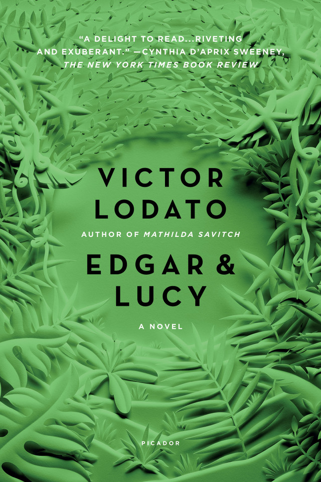 Edgar and Lucy: A Novel book cover by Victor Lodato