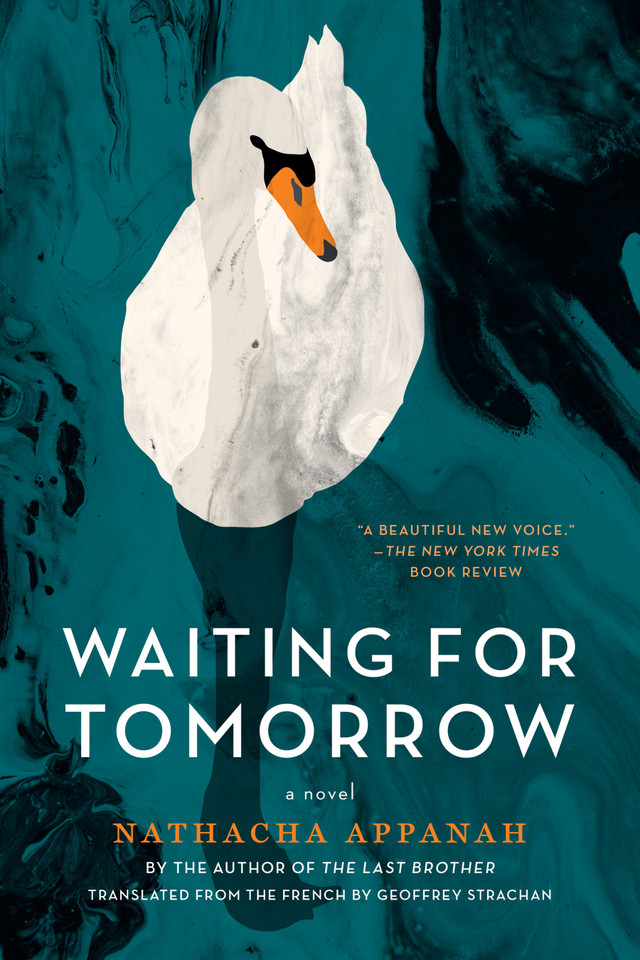 Waiting for Tomorrow: A Novel book cover by Nathacha Appanah