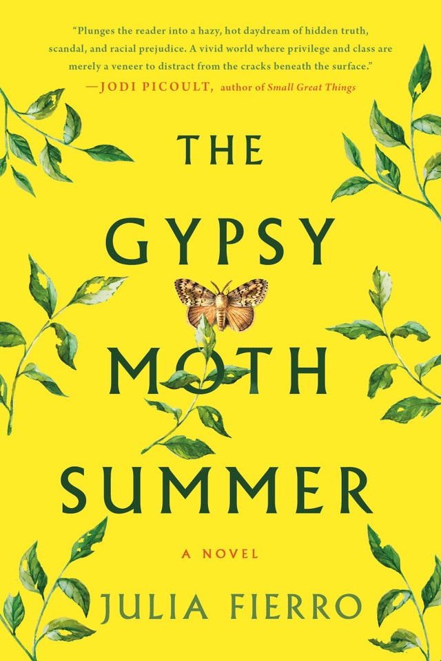 The Gypsy Moth Summer: A Novel book cover by Julia Fierro