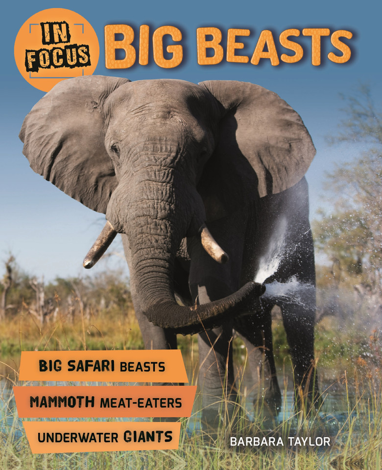 In Focus: Big Beasts (In Focus) book cover by Steve Parker
