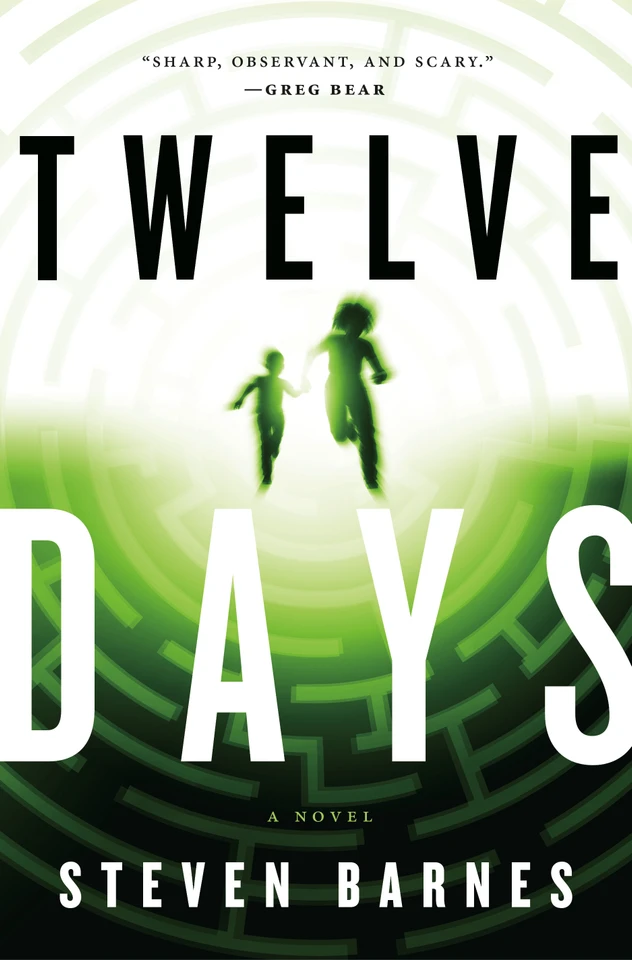 Twelve Days: A Novel book cover by Steven Barnes