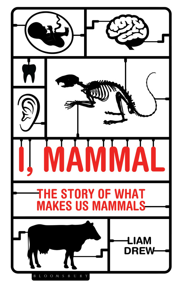 I, Mammal: The Story of What Makes Us Mammals book cover by Liam Drew