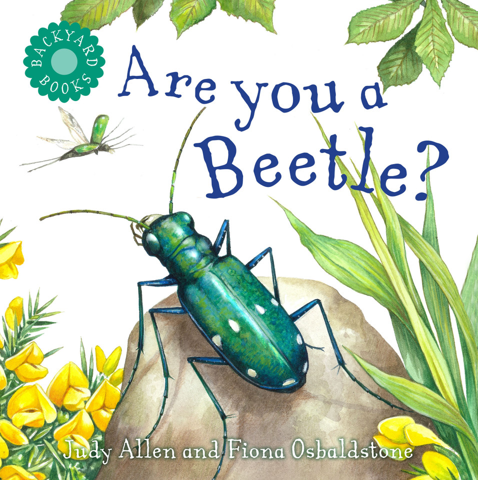 Are You a Beetle? (Backyard Books) book cover by Judy Allen