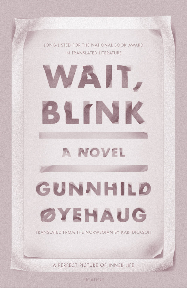 Wait, Blink: A Perfect Picture of Inner Life: A Novel [9781250215024]