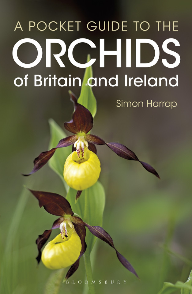 Pocket Guide to the Orchids of Britain and Ireland (Bloomsbury Naturalist) book cover by Simon Harrap