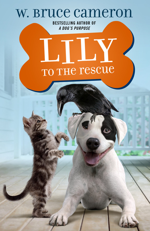 Lily to the Rescue (Lily to the Rescue! #1) book cover by W. Bruce Cameron