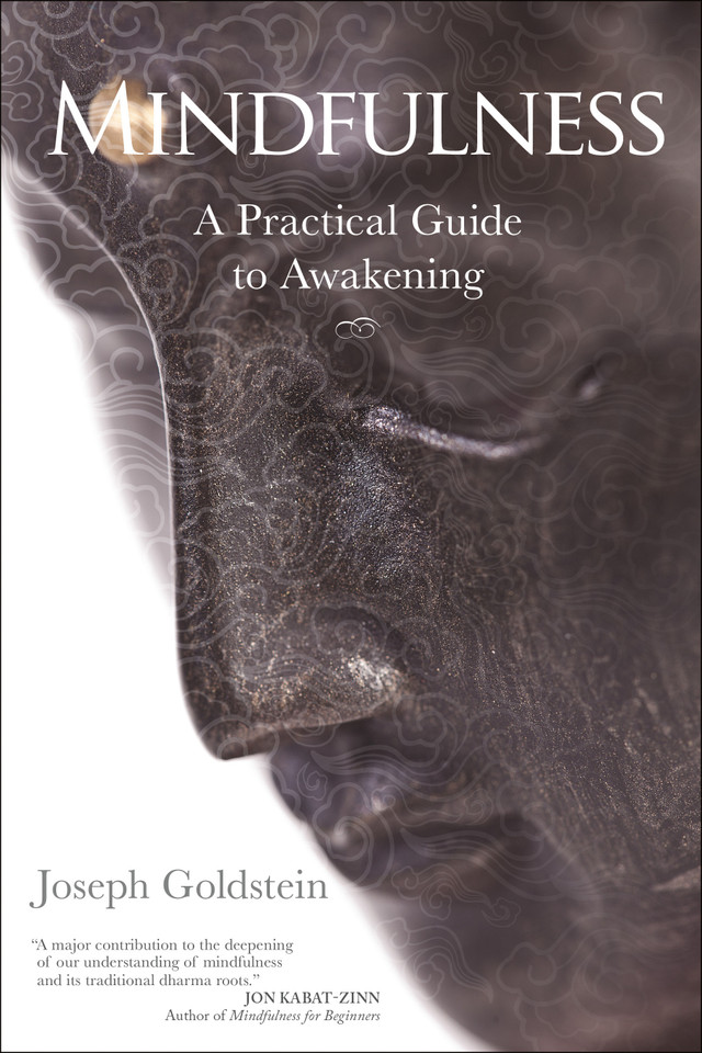 Mindfulness: A Practical Guide to Awakening book cover by Joseph Goldstein