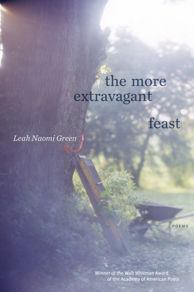 The More Extravagant Feast: Poems book cover by Leah Naomi Green