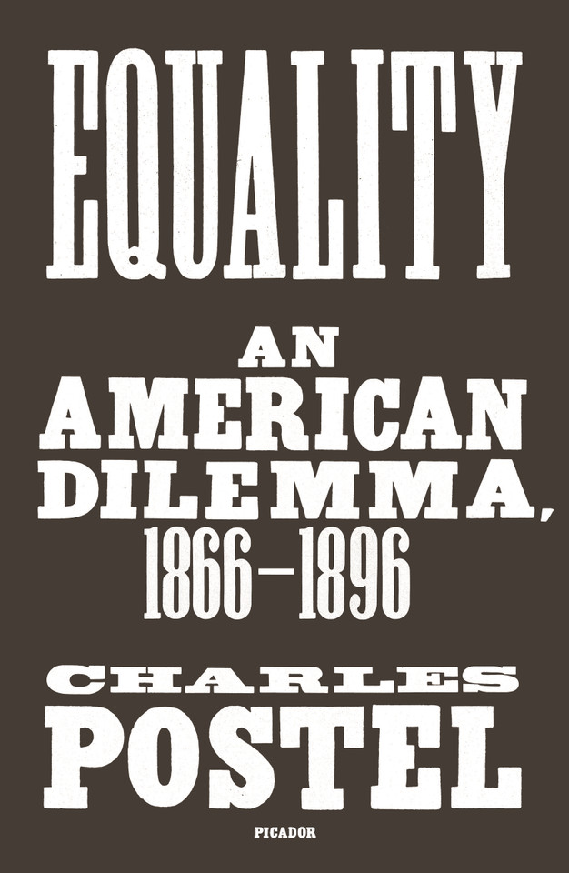 Equality: An American Dilemma, 1866-1896 book cover by Charles Postel