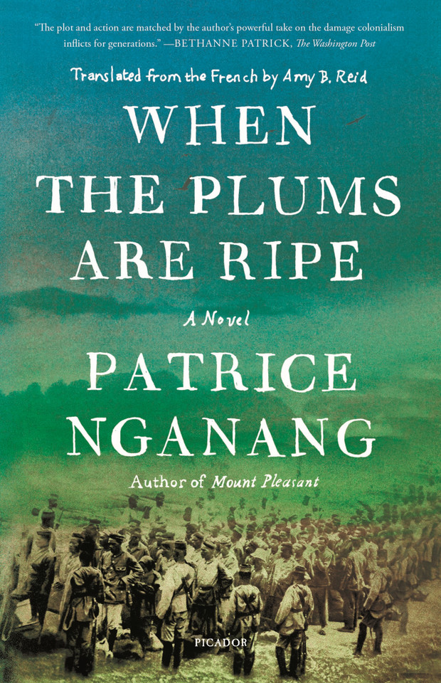 When the Plums Are Ripe: A Novel book cover by Patrice Nganang