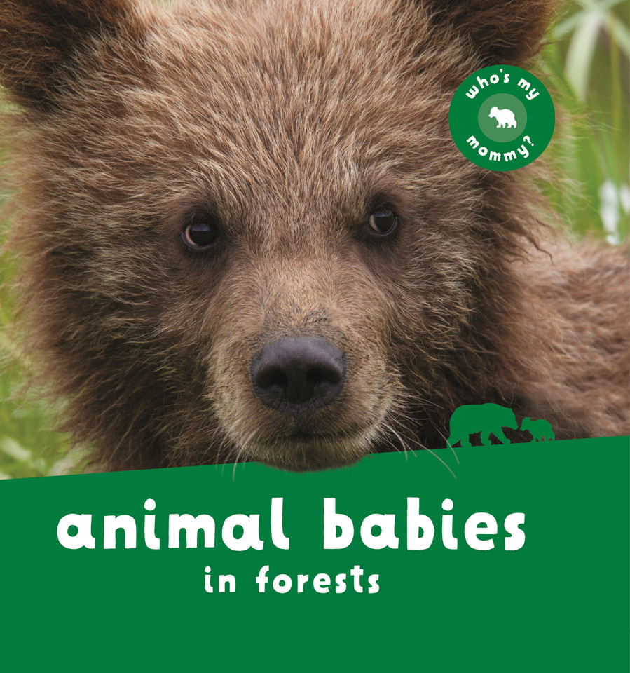 Animal Babies in Forests (Animal Babies) book cover by Editors of Kingfisher