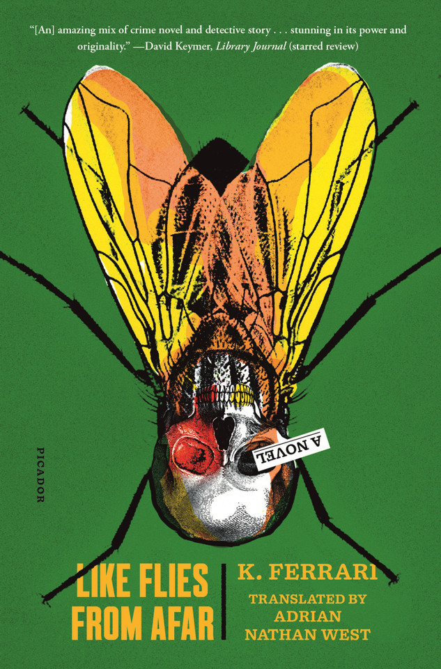 Like Flies from Afar: A Novel book cover by K. Ferrari