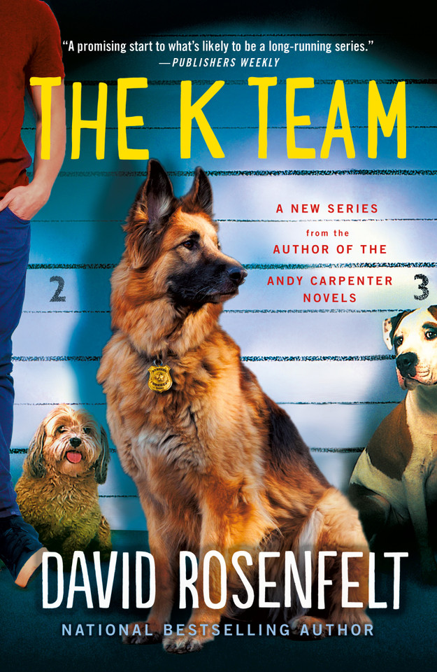 The K Team (K Team Novels #1) book cover by David Rosenfelt