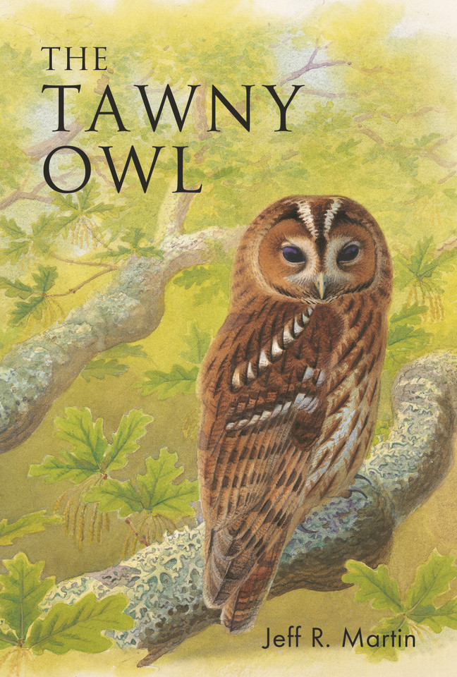 The Tawny Owl (Poyser Monographs) book cover by Jeff Martin