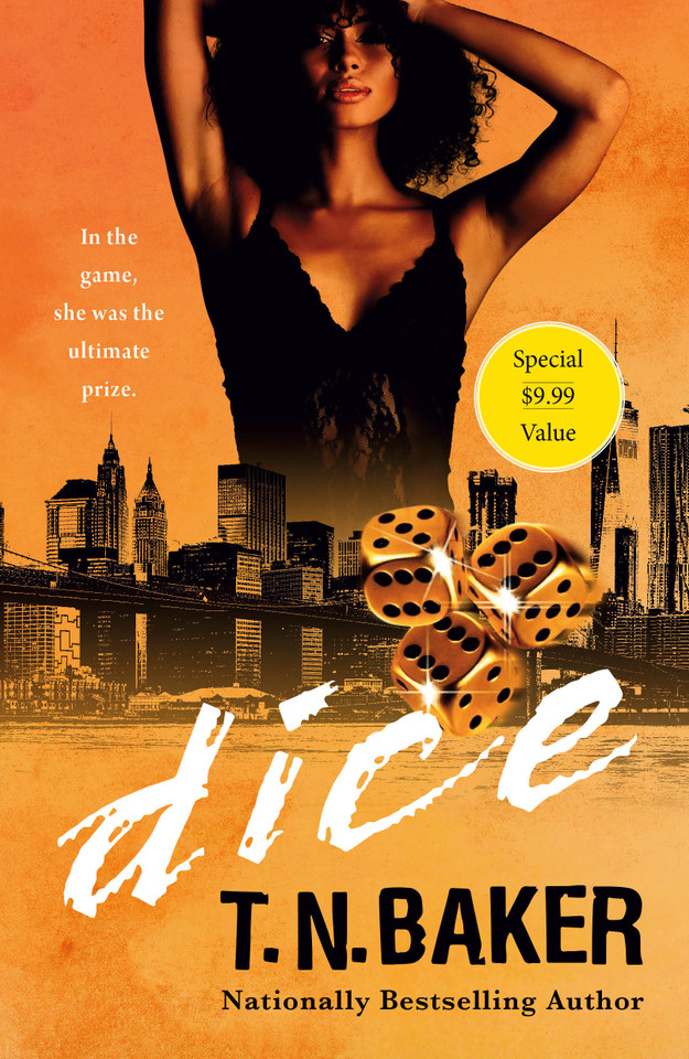 Dice book cover by T.N. Baker