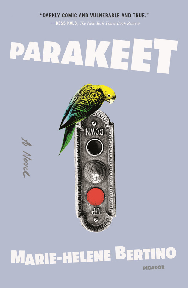 Parakeet: A Novel book cover by Marie-Helene Bertino