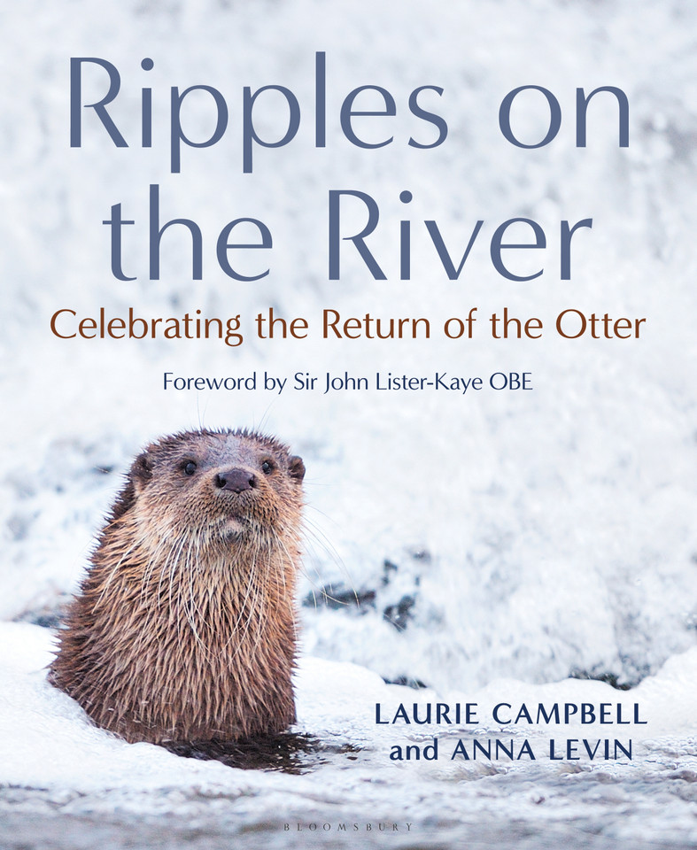 Ripples on the River: Celebrating the Return of the Otter book cover by Laurie Campbell, Anna Levin