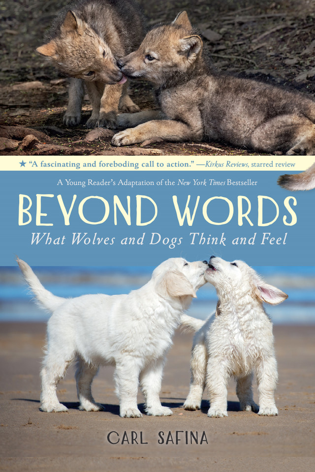 Beyond Words: What Wolves and Dogs Think and Feel (A Young Reader's Adaptation) (Beyond Words #2) book cover by Carl Safina