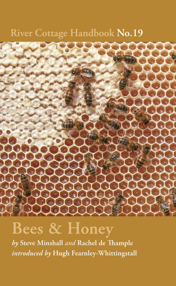 Bees & Honey: River Cottage Handbook No.19 (River Cottage Handbook) [9781408873557]