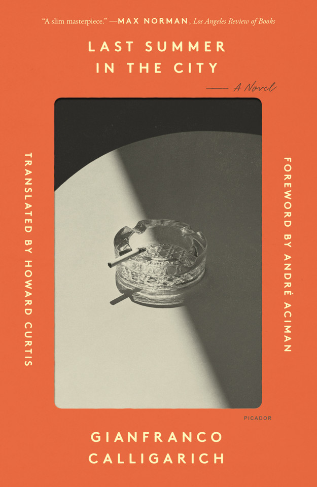 Last Summer in the City: A Novel book cover by Gianfranco Calligarich