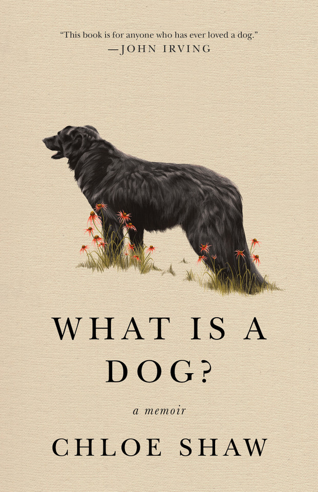 What Is a Dog?: A Memoir book cover by Chloe Shaw