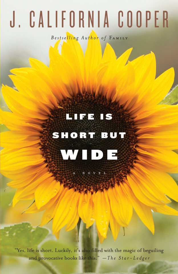 Life Is Short But Wide book cover by J. California Cooper