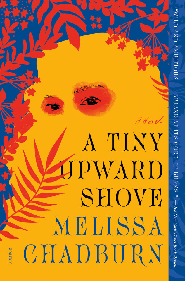 A Tiny Upward Shove: A Novel book cover by Melissa Chadburn