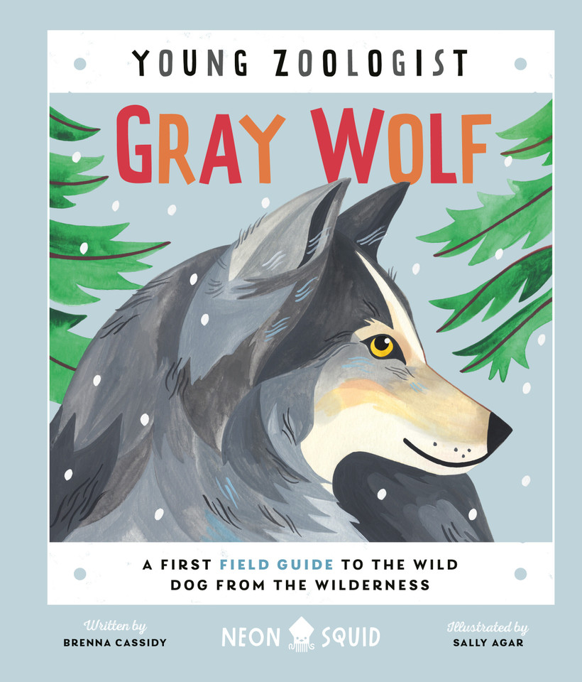 Gray Wolf (Young Zoologist): A First Field Guide to the Wild Dog from the Wilderness (Young Zoologist) book cover by Brenna Cassidy, Neon Squid