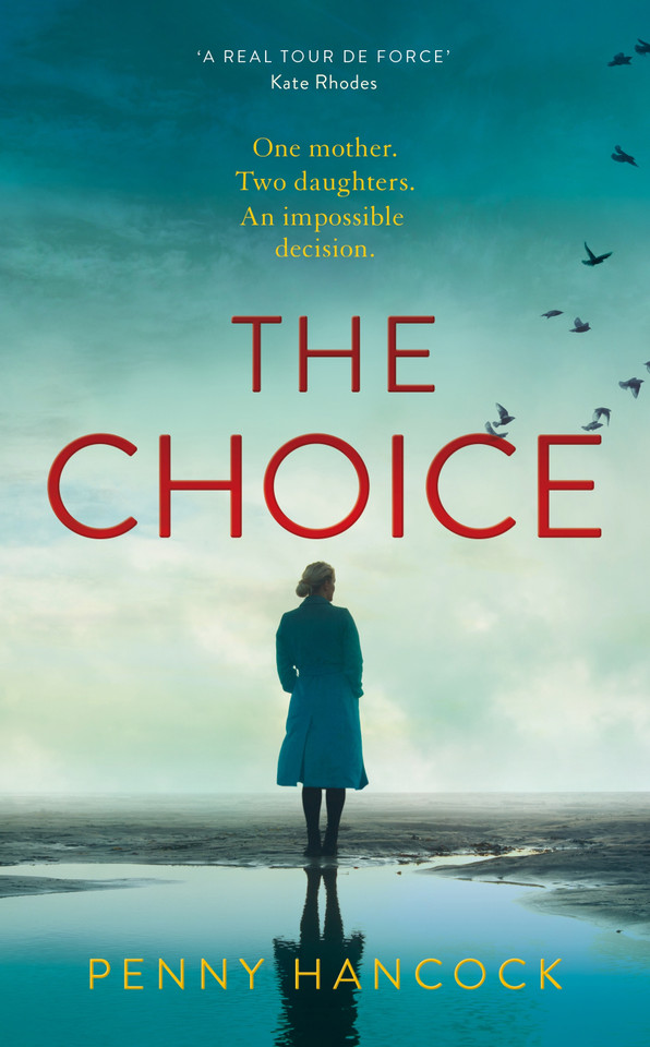 The Choice book cover by Penny Hancock