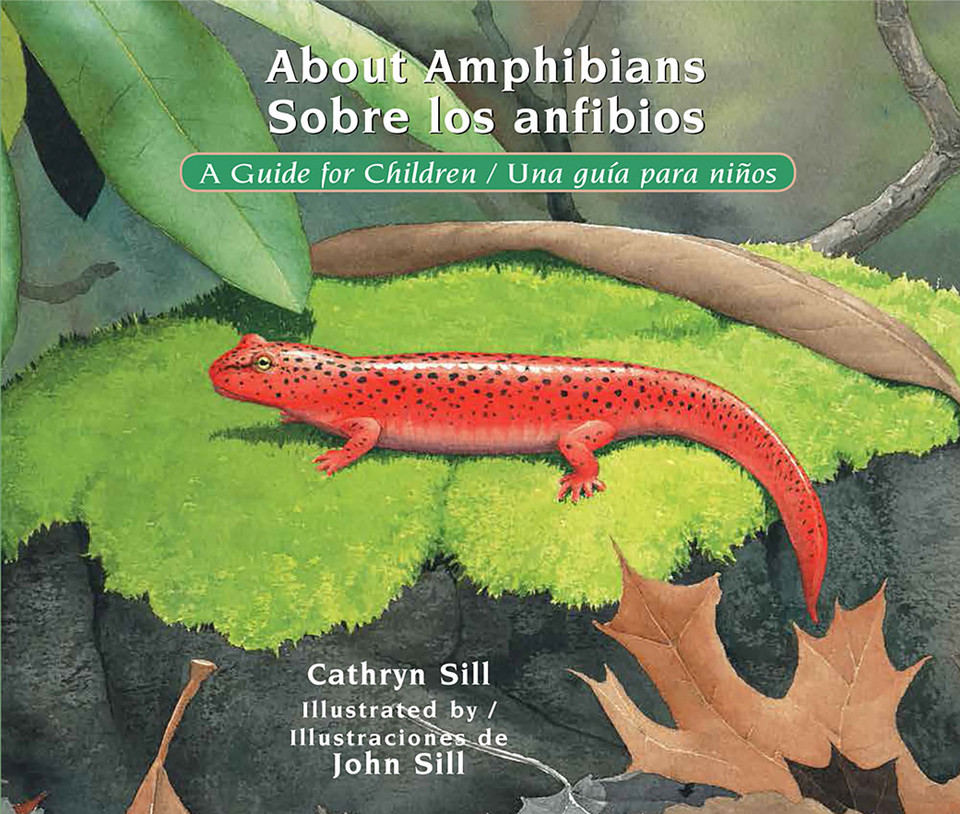 About Amphibians / Sobre los anfibios: A Guide for Children / Una guía para niños (Bilingual Spanish/English Educational Science Book about Amphibians) (About. . .) book cover by Cathryn Sill