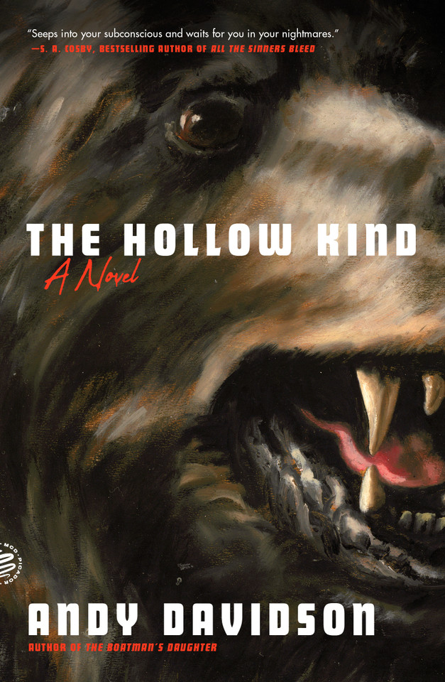 The Hollow Kind: A Novel book cover by Andy Davidson