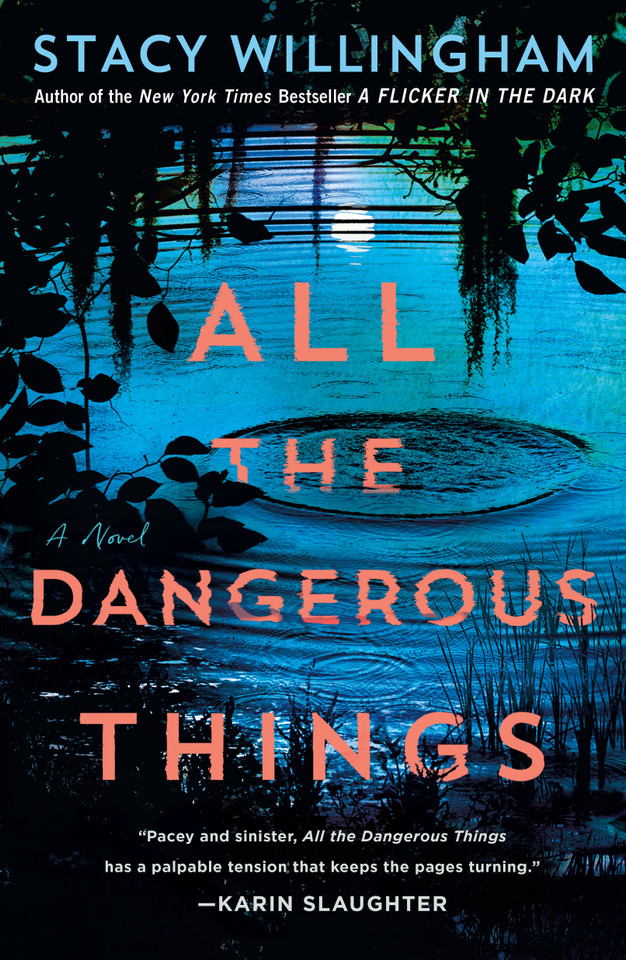 All the Dangerous Things: A Novel [9781250803870]