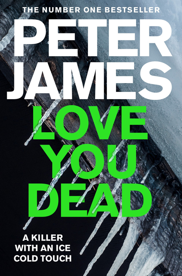 Love You Dead (Detective Superintendent Roy Grace #12) book cover by Peter James