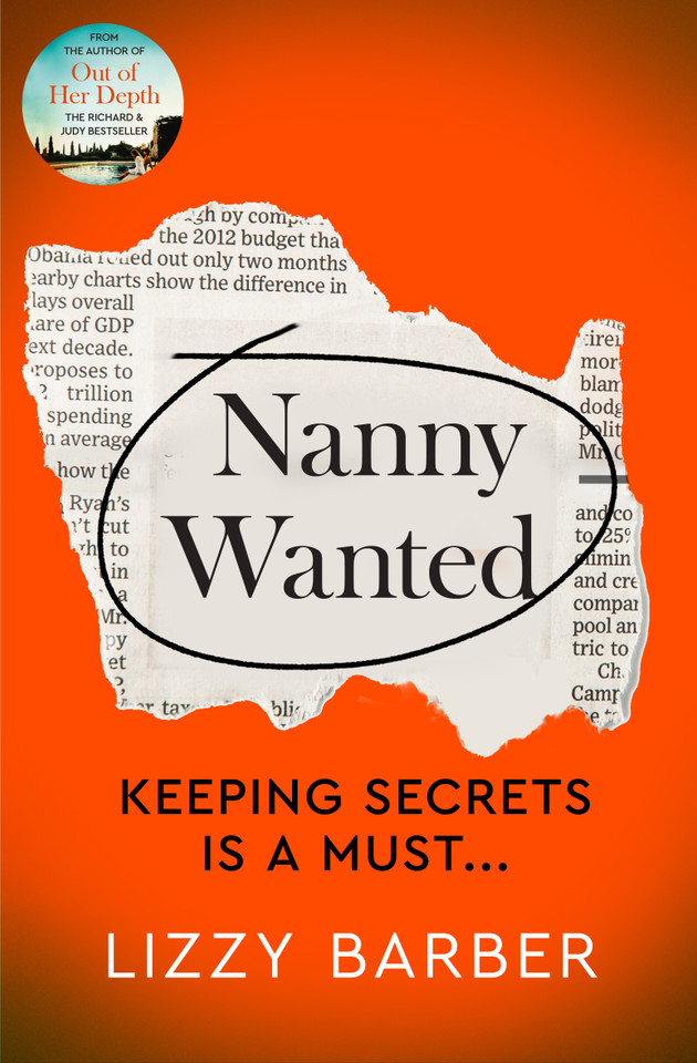Nanny Wanted book cover by Lizzy Barber