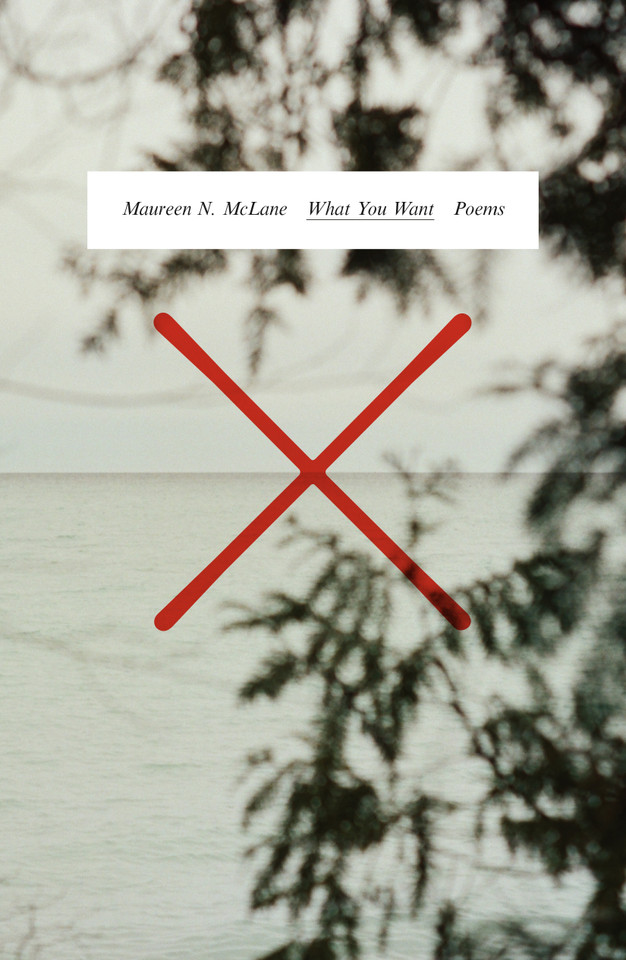 What You Want: Poems book cover by Maureen N. McLane