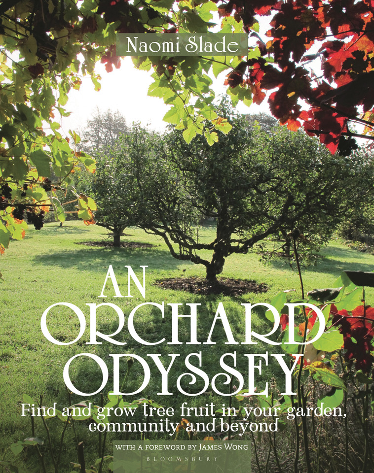An Orchard Odyssey: Finding and growing tree fruit in your garden, community and beyond book cover by Naomi Slade
