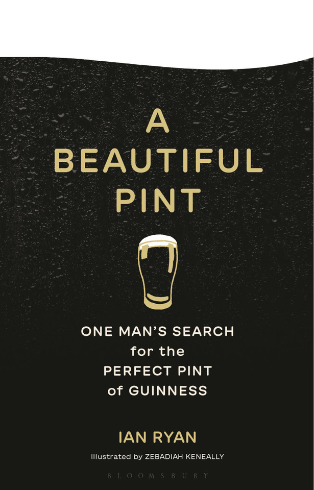 A Beautiful Pint: One Man's Search for the Perfect Pint of Guinness book cover by Ian Ryan